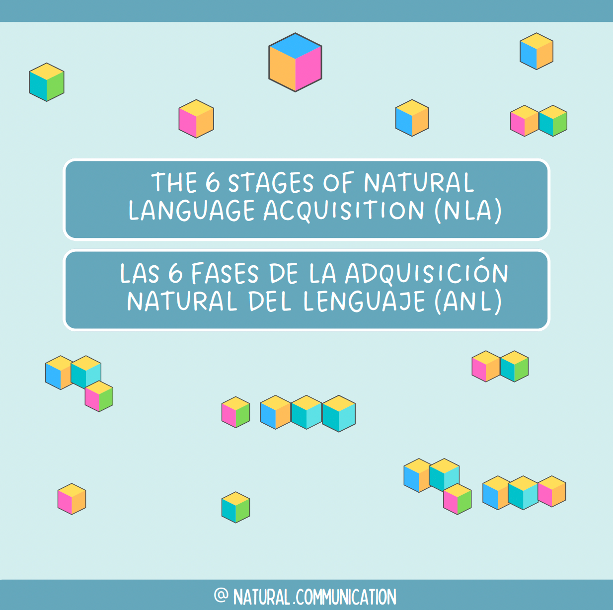 6 etapas de NLA / 6 fases de la ANL